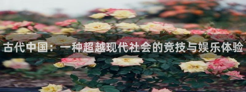 JJB竞技宝官网下载招商电话号码查询：古代中国：一种