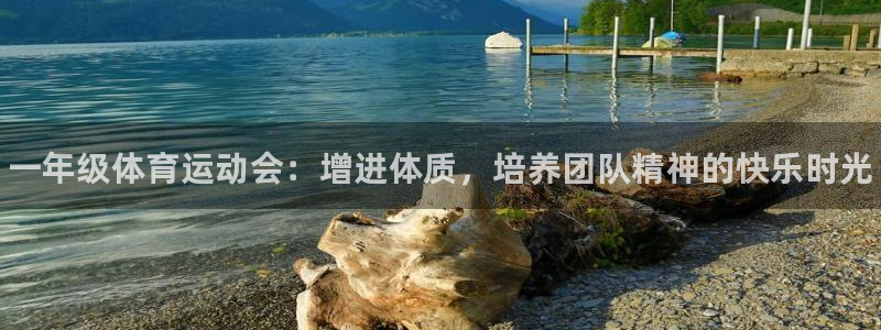 JJB竞技宝官方正版app集团简介：一年级体育运动会