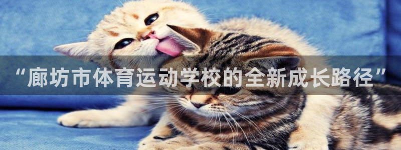 注册JJB竞技宝官方正版app：“廊坊市体育运动学校