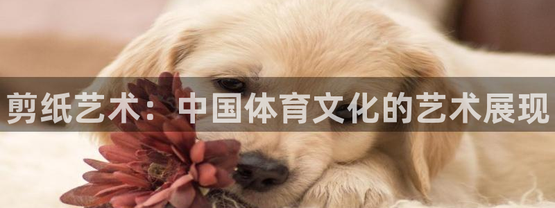 JJB竞技宝官网下载平台注册要钱吗安全吗：剪纸艺术：