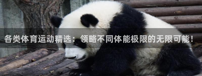 JJB竞技宝官方正版app娱乐首页网站大全：各类体育