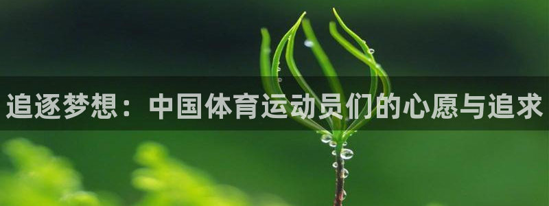 JJB竞技宝官方正版app官方：追逐梦想：中国体育运