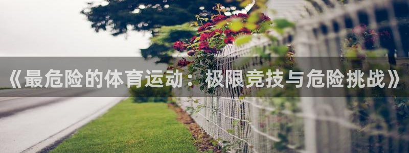 JJB竞技宝官网下载平台注册要钱吗安全吗：《最危险的