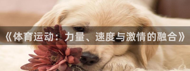 JJB竞技宝官网下载招商电话地址：《体育运动：力量、速度与激