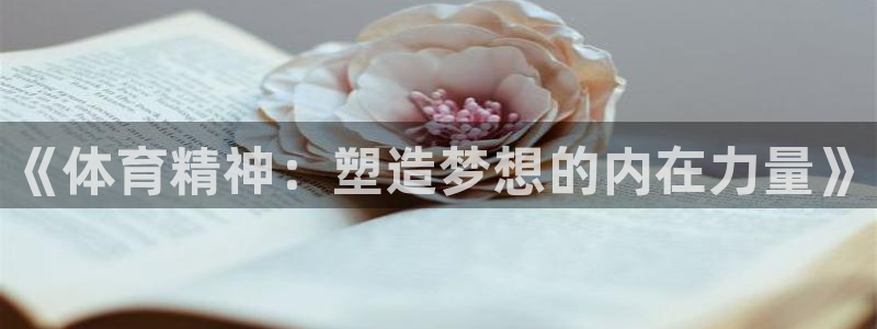 JJB竞技宝官方正版app集团简介：《体育精神：塑造梦想的内