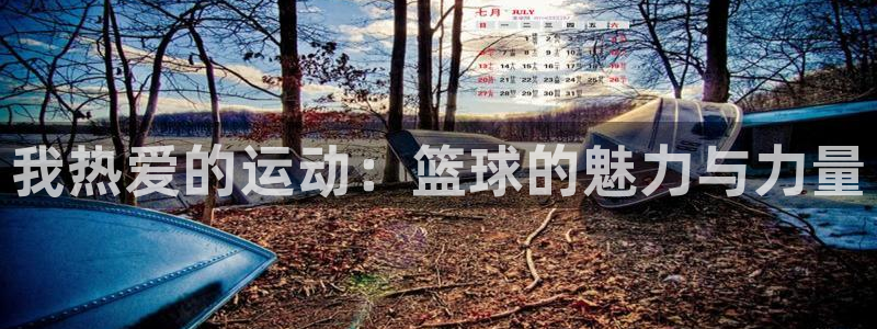 海南JJB竞技宝官网下载发展怎么样：我热爱的运动：篮球的魅力