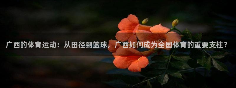 JJB竞技宝官网下载平台假的吗是真的吗：广西的体育运动：从田