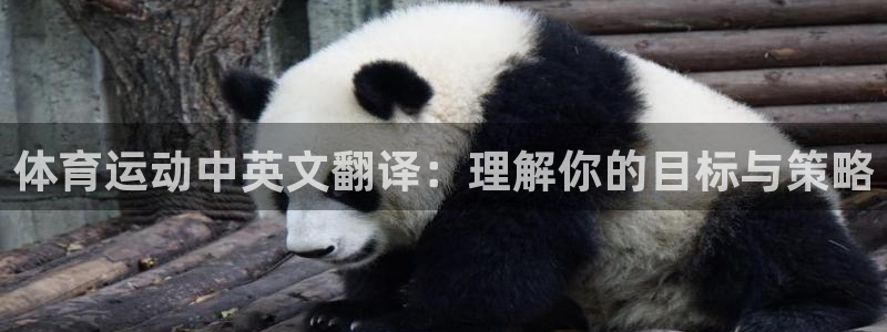 JJB竞技宝官方正版app娱乐首页官网下载：体育运动中英文翻