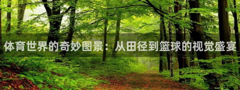 JJB竞技宝官网下载招商电话地址