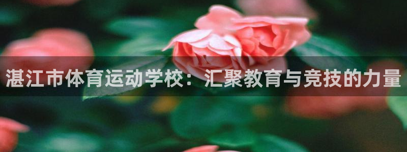 JJB竞技宝官网下载平台是正规平台吗：湛江市体育运动