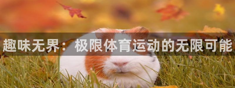 JJB竞技宝官网下载平台注册要钱吗是真的吗：趣味无界：极限体