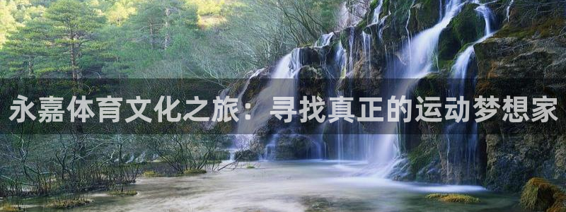 JJB竞技宝官网下载招商电话号码