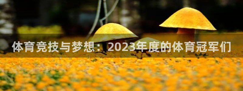 德国JJB竞技宝官方正版app集团：体育竞技与梦想：