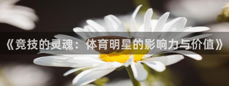 JJB竞技宝官网下载注册：《竞技的灵魂：体育明星的影响力与价
