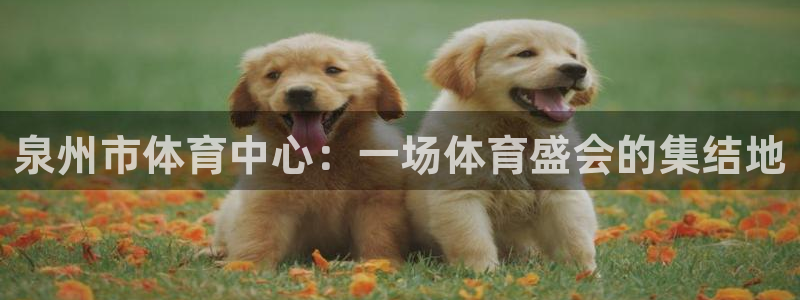 JJB竞技宝官方正版app官网：泉州市体育中心：一场