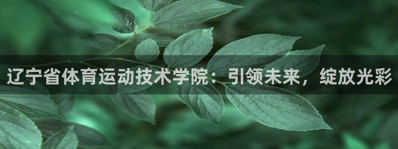 竞技宝测速站网站主网址