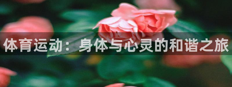  竞技宝手机端下载教程：体育运动：身体与心灵的和谐之旅