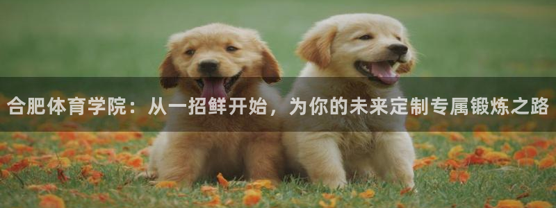  竞技宝手机端下载：合肥体育学院：从一招鲜开始，为你的未来定制
