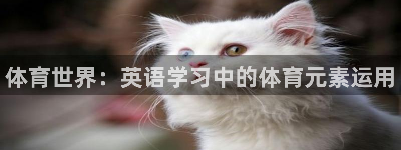 竞技宝手机网页：体育世界：英语学习中的体育元素运用