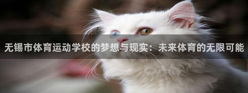  竞技宝电竞：无锡市体育运动学校的梦想与现实：未来体育的无限可
