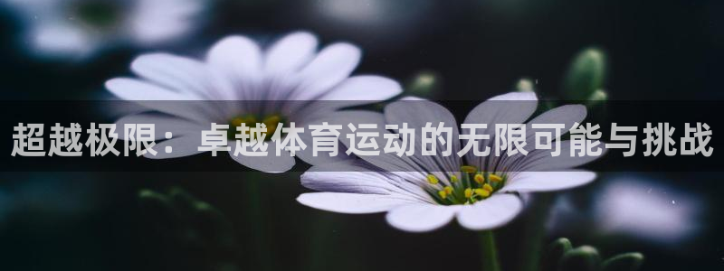 竞技宝客服连不上：超越极限：卓越体育运动的无限可能与挑战