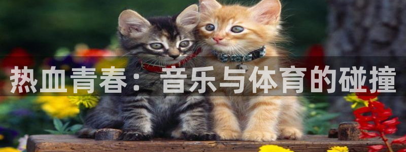  竞技宝安卓下载：热血青春：音乐与体育的碰撞