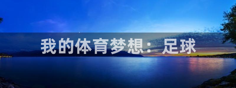 竞技宝 测速：我的体育梦想：足球