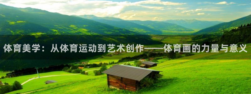 竞技宝客服打不开网页：体育美学：从体