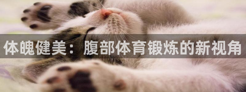 竞技宝app下载安装ios：体魄健美：腹部体育锻炼的新视角