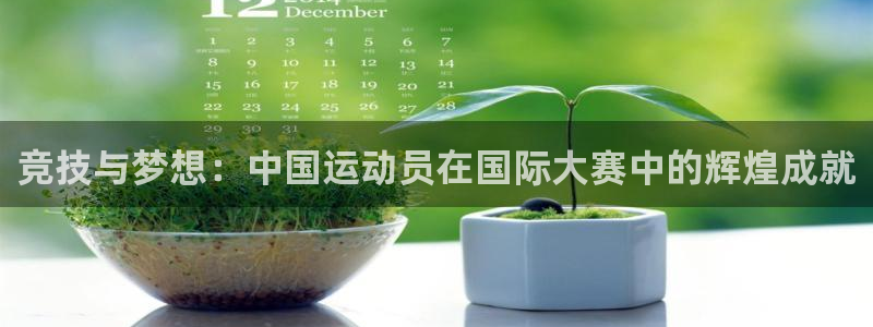 竞技宝下载链接：竞技与梦想：中国运动
