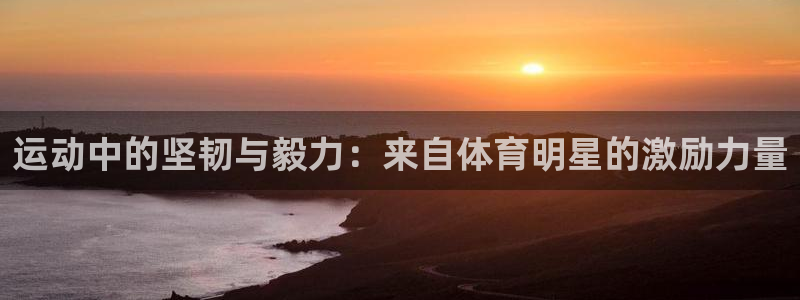 竞技宝贴吧：运动中的坚韧与毅力：来自