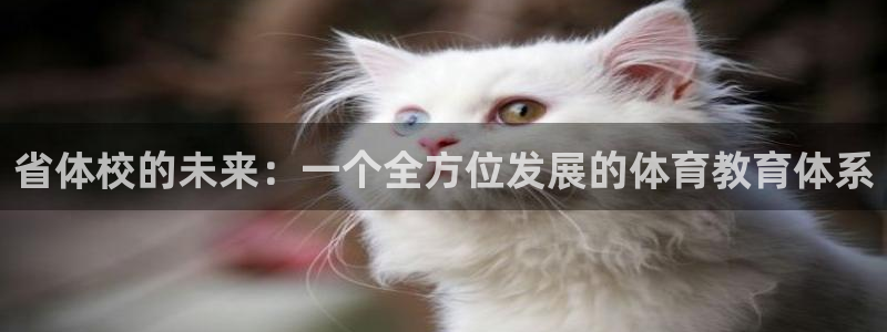 竞技宝不能提现：省体校的未来：一个全