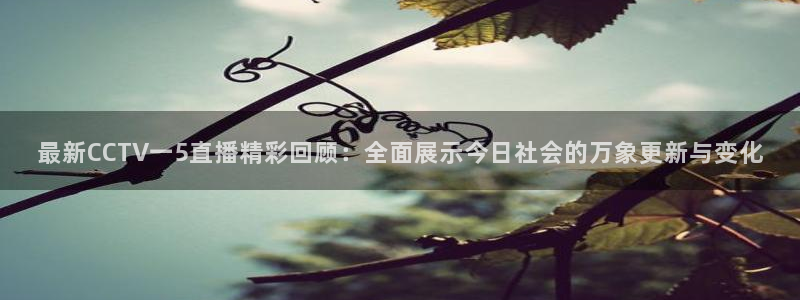 蜘蛛直播 nba：最新CCTV一5直播精彩回顾：全面展示今日社会的万象更新与变化