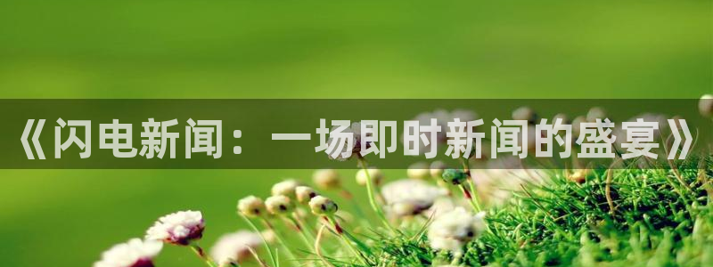 jrs蜘蛛直播nba免费：《闪电新闻：一场即时新闻的盛宴》