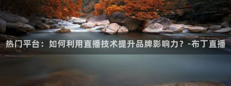 蜘蛛nba直播免费观看：热门平台：如何利用直播技术提升品牌影响力？-布丁直播