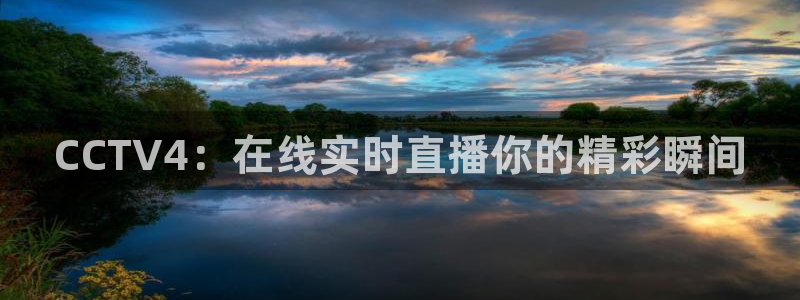 蜘蛛足球：CCTV4：在线实时直播你的精彩瞬间